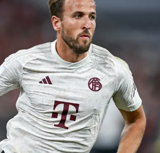 观众分贝